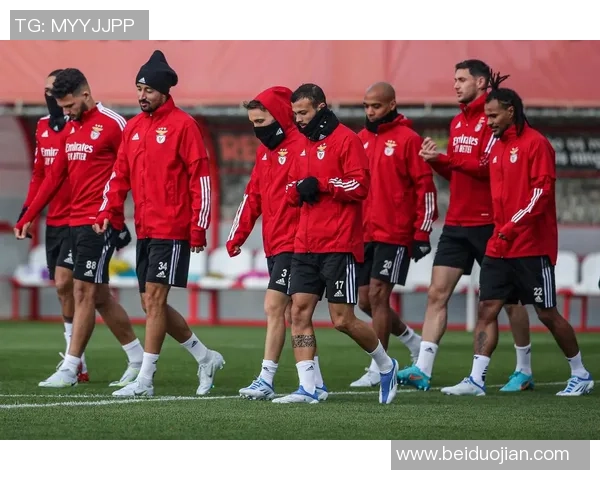 欧冠激战本菲卡与那不勒斯握手言和补时进球引发全场狂欢